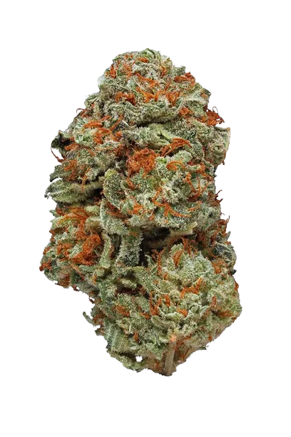 LA Confidential