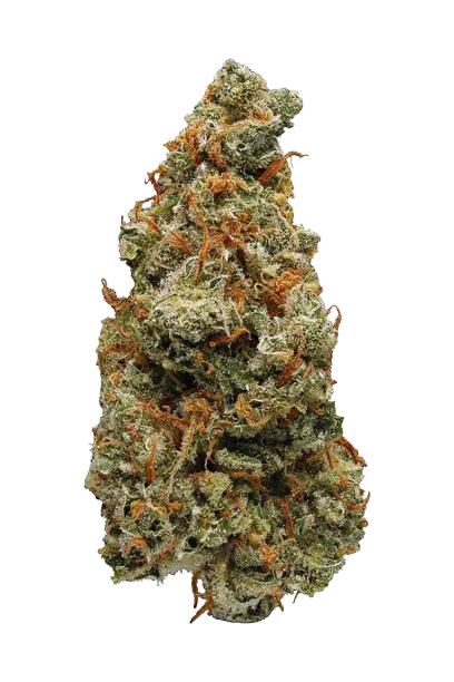 Lemon Haze