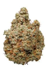 Lemonade Kush #2