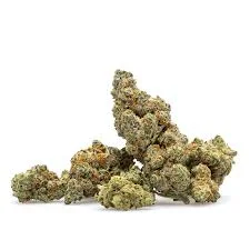 Mendo Breath #2