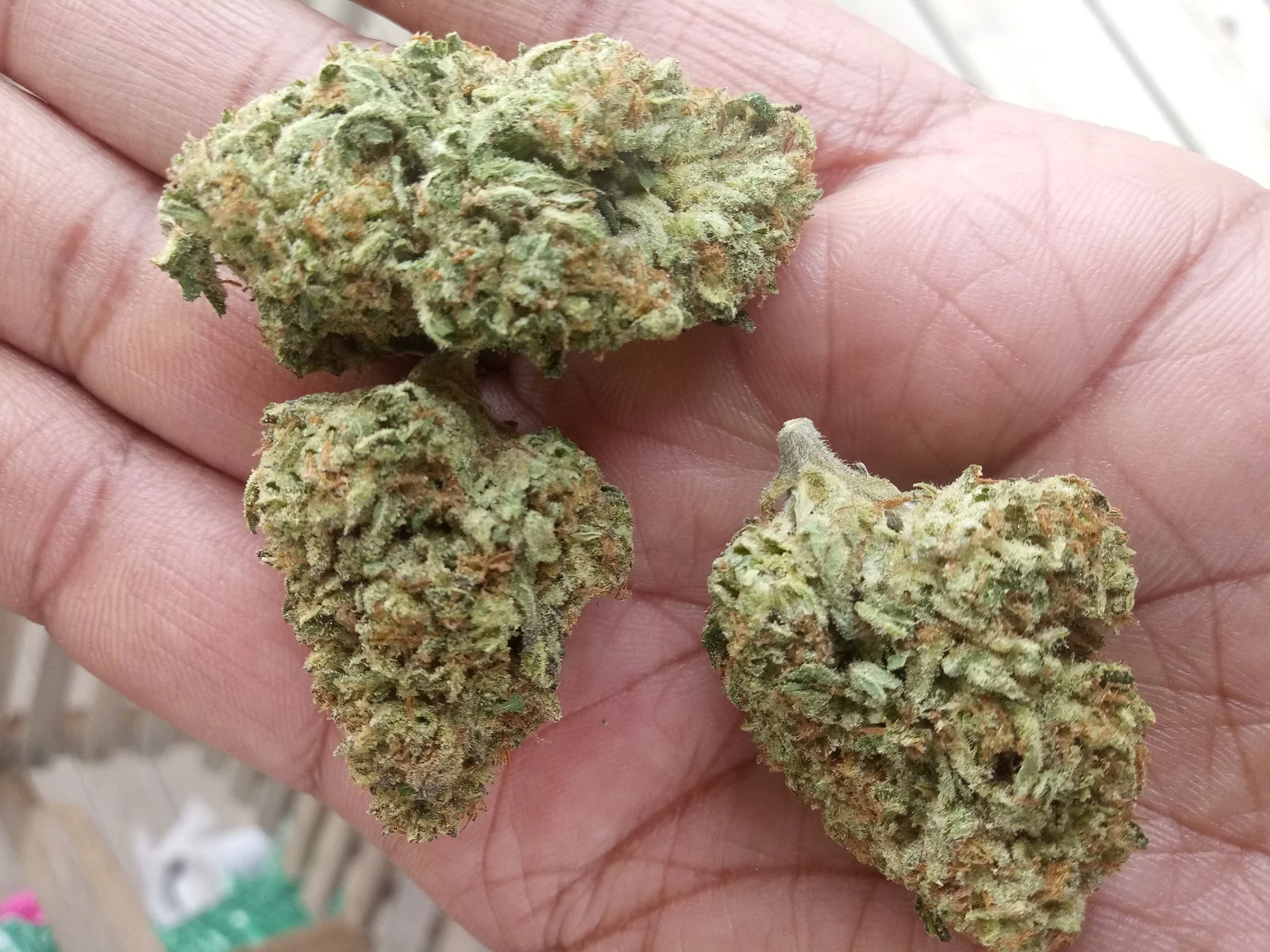 Mendo Breath #3