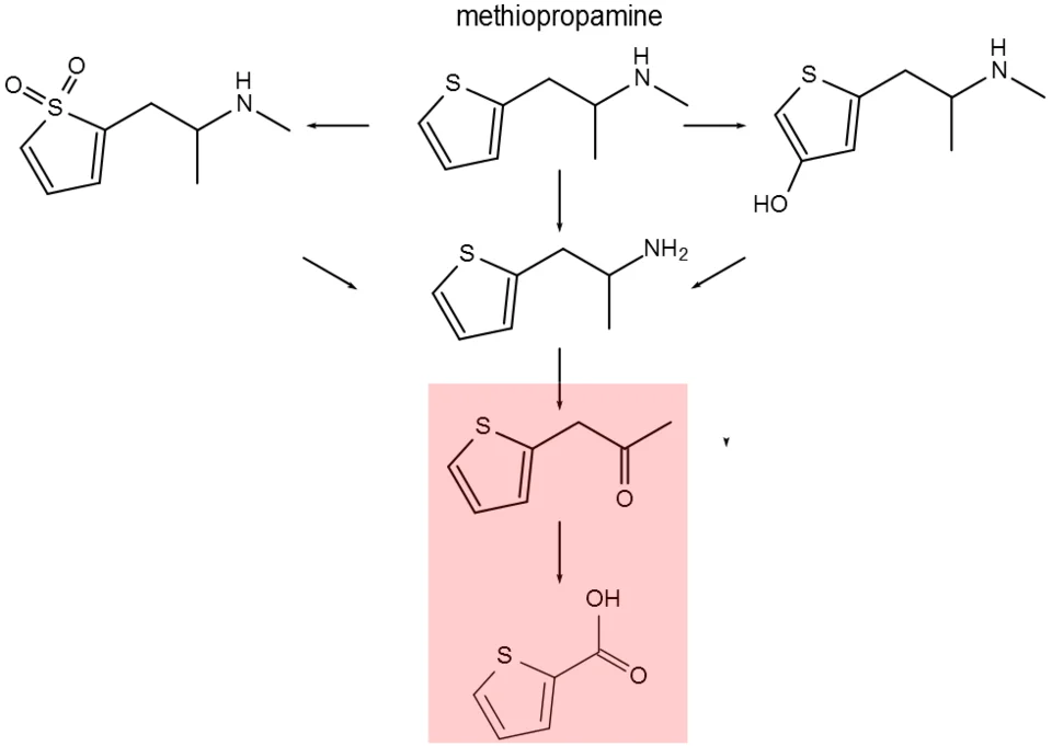 Methiopropamine analogs