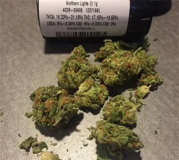 Northern Lights Indica