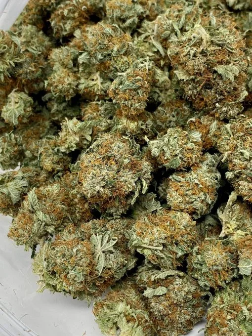 OG Kush