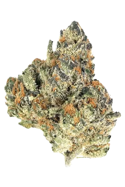 Orange Cookies #2