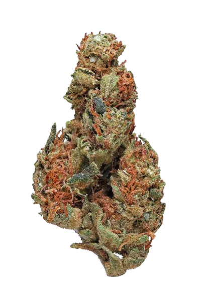 Panama Red