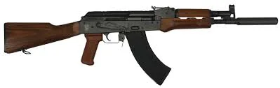 Pioneer Arms AK