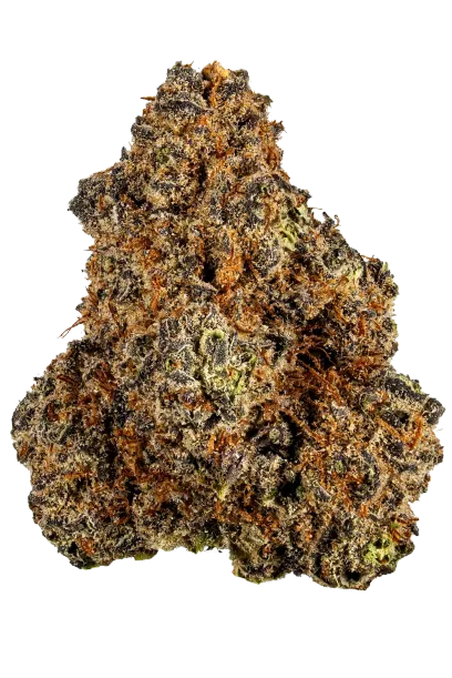 Purple Haze