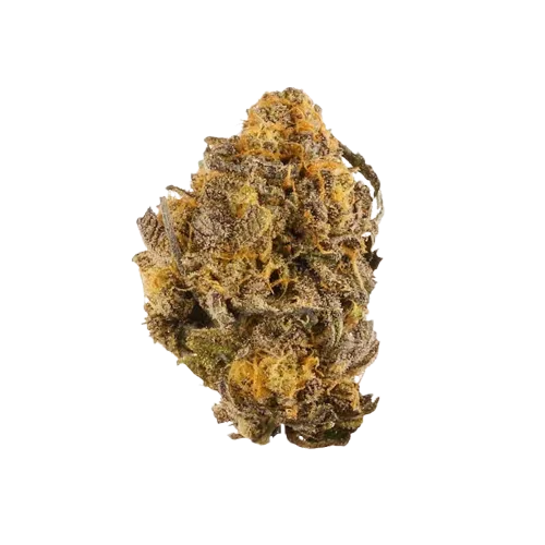 Purple Kush