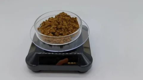 San Pedro Extract