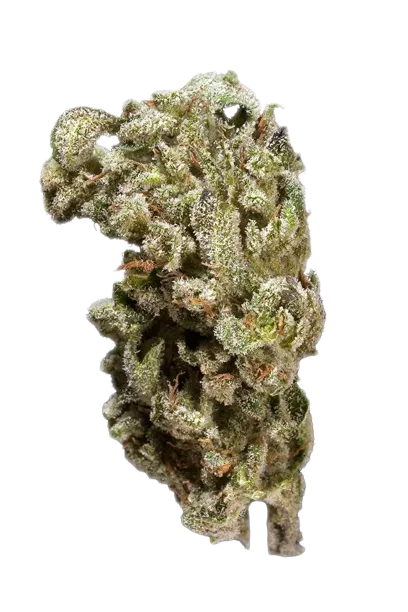 Shishkaberry