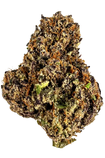 Slurricane