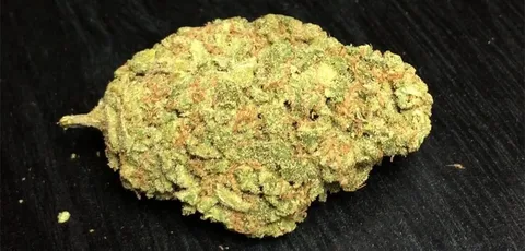 Sour Tsunami #5