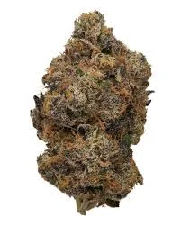 Sunset Sherbet #2