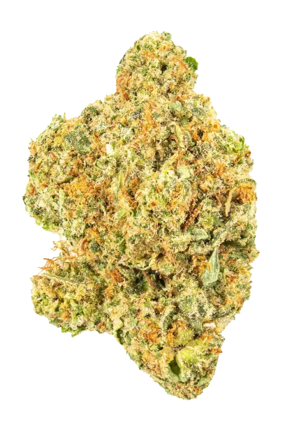 Super Silver Haze - Classic Heirloom