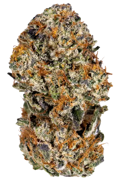 Tangie