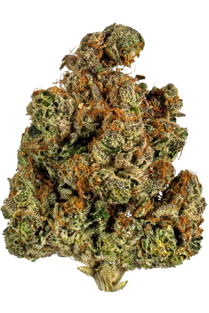 Trainwreck