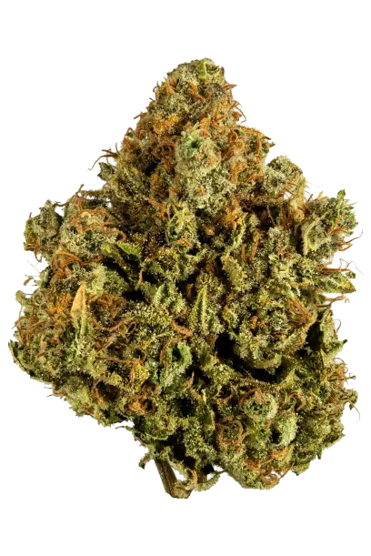 White Widow #2