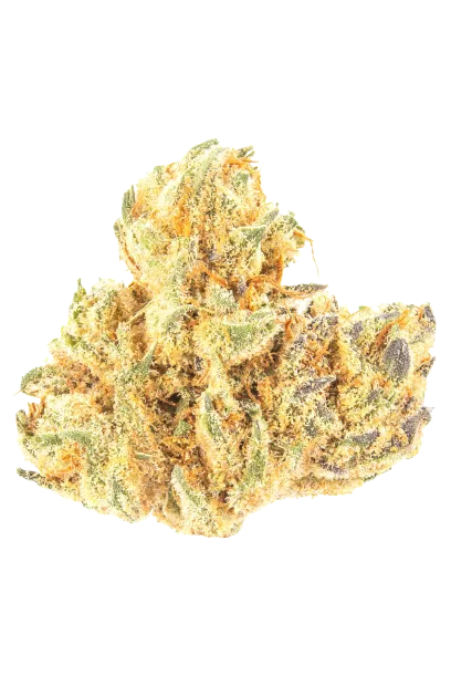 Wifi OG